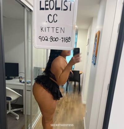 Kitten 23Yrs Old Escort Moncton Image - 3