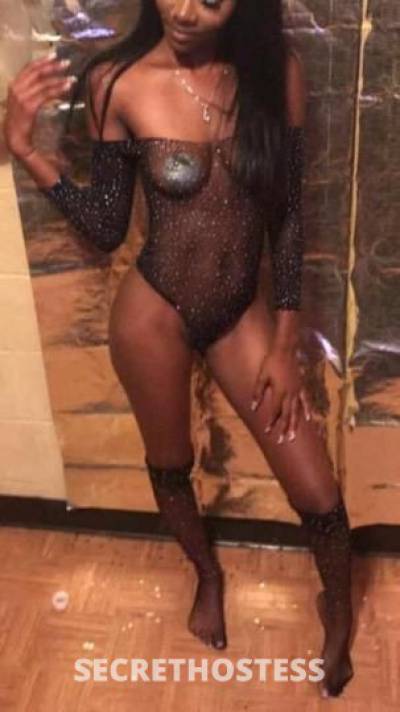 24Yrs Old Escort Miami FL Image - 1