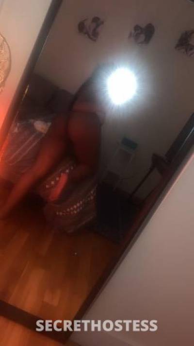 25Yrs Old Escort Orlando FL Image - 3