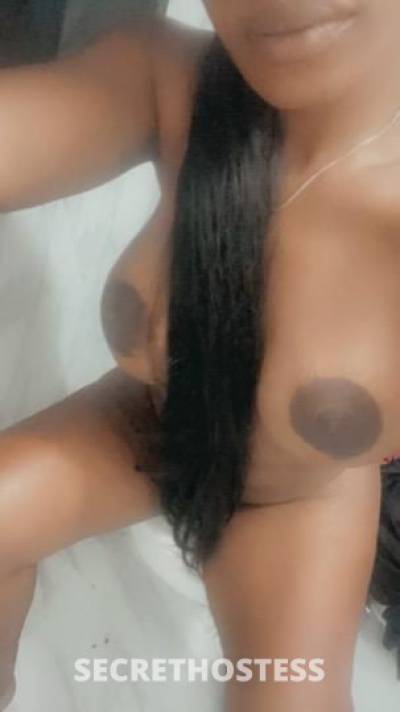 29Yrs Old Escort Fort Lauderdale FL Image - 0