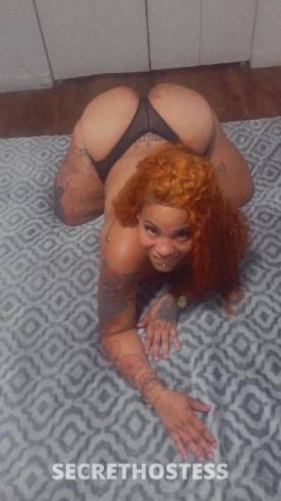 29Yrs Old Escort Tampa FL Image - 1