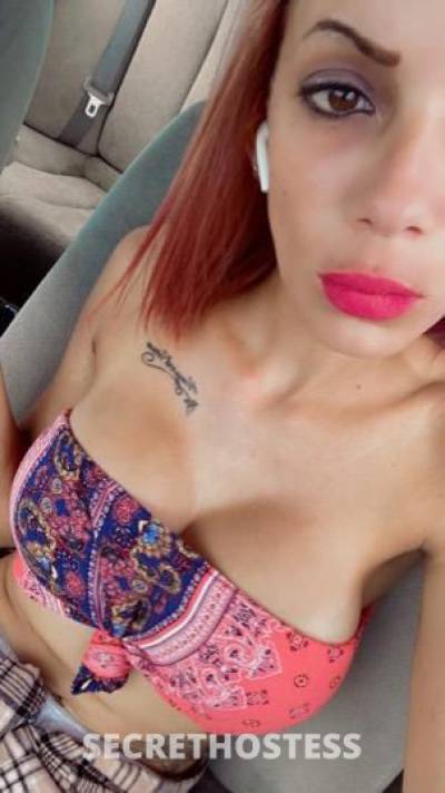 Sofia 26Yrs Old Escort Miami FL Image - 1