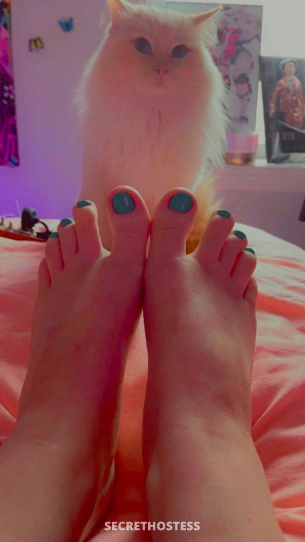 Gracie 27Yrs Old Escort Norwich CT Image - 6