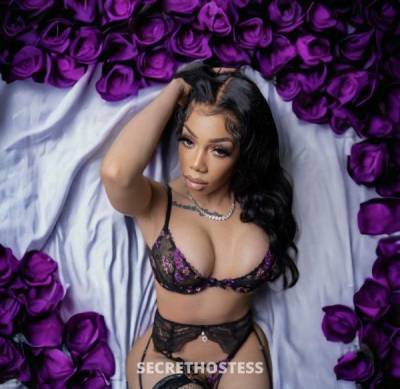 23 year old Escort in San Francisco CA Your new favorite <3