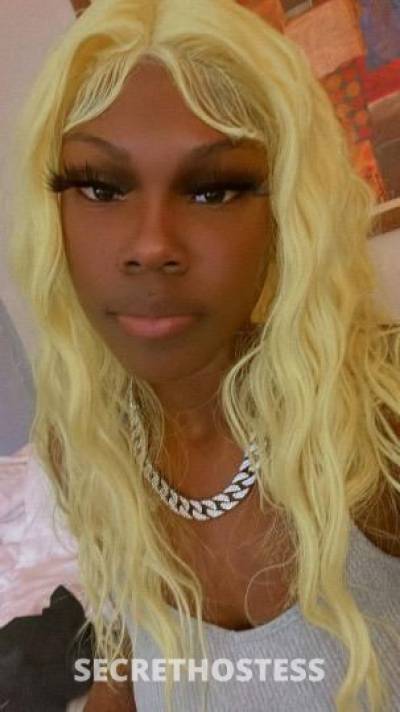 24Yrs Old Escort Detroit MI Image - 2