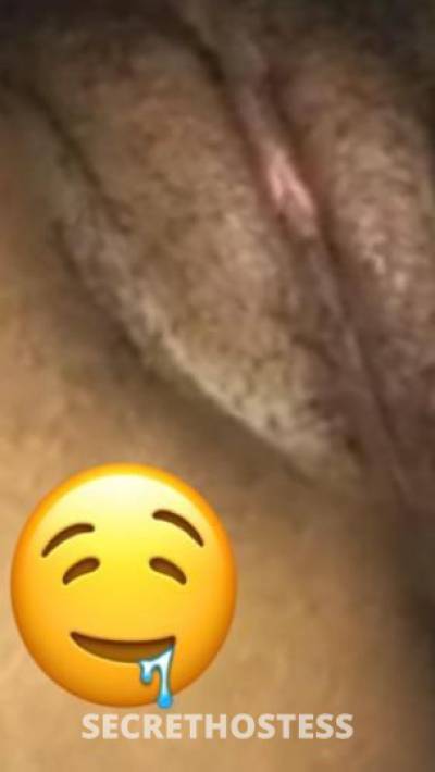 24Yrs Old Escort St. Louis MO Image - 1