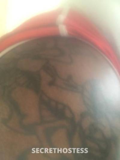 29 year old German Escort in Memphis TN Come Taste my Juiccy Chocolate Drops