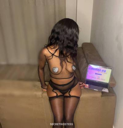 Brandy 22Yrs Old Escort Abbotsford Image - 7