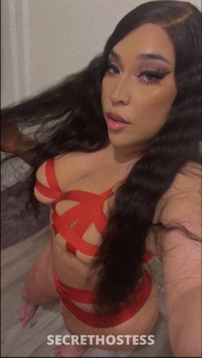 Jade 25Yrs Old Escort Santa Rosa/ North Bay CA Image - 2