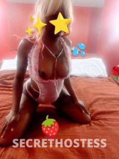 23Yrs Old Escort Bronx NY Image - 1