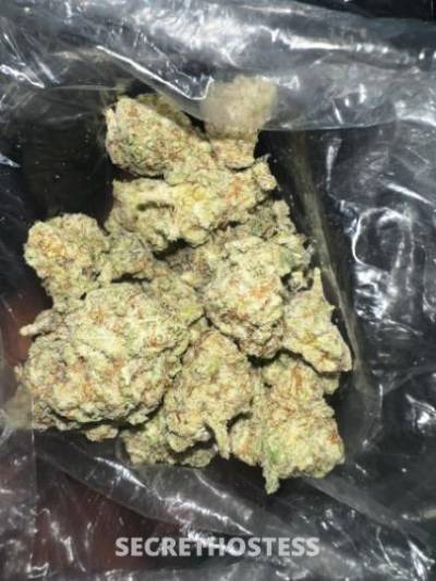 23 year old Escort in Buffalo NY BARE GFE BARE BJ Fetish Freak Party Friendly Special FT SHOW