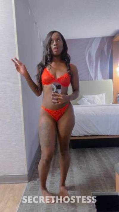 Amber 23Yrs Old Escort South Jersey NJ Image - 1
