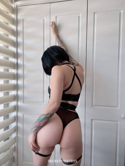 24 Year Old Asian Escort Tampa FL - Image 3