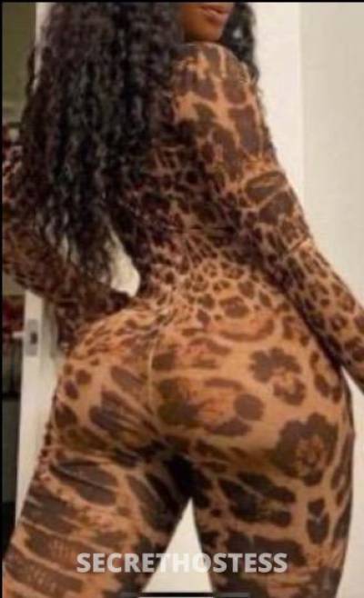 Yummie 23Yrs Old Escort Memphis TN Image - 0