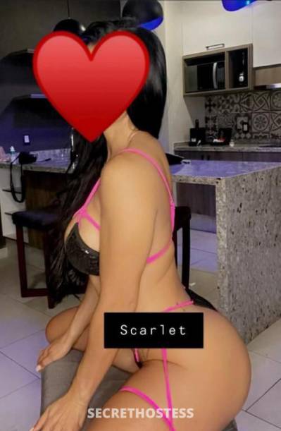 19 year old Brazilian Escort in Sydney * colombian house latinas*outcall*free drinks*best sex ever