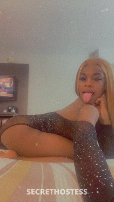 23 year old Escort in Dallas TX Hey handsome ☺️ I am waiting for you !&nbsp; I am 