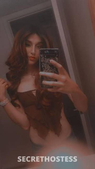 23Yrs Old Escort Dallas TX Image - 2