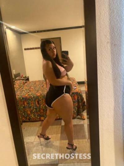 Ana 19Yrs Old Escort Orange County CA Image - 3