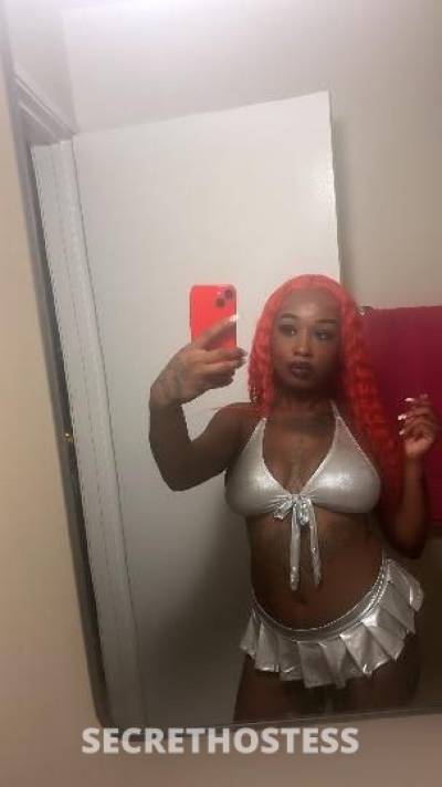 Ivy 23Yrs Old Escort Size 6 160CM Tall Oakland CA Image - 1