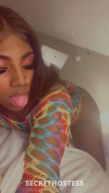 22Yrs Old Escort 167CM Tall Fort Lauderdale FL Image - 2