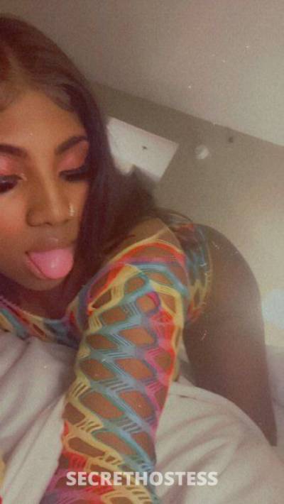 22Yrs Old Escort 167CM Tall Fort Lauderdale FL Image - 2