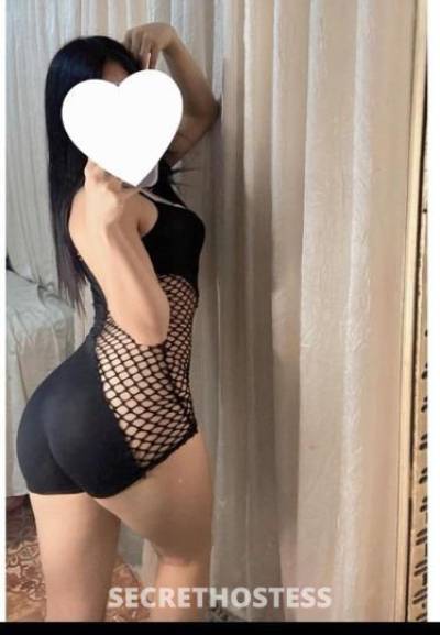 23Yrs Old Escort North Bay CA Image - 4