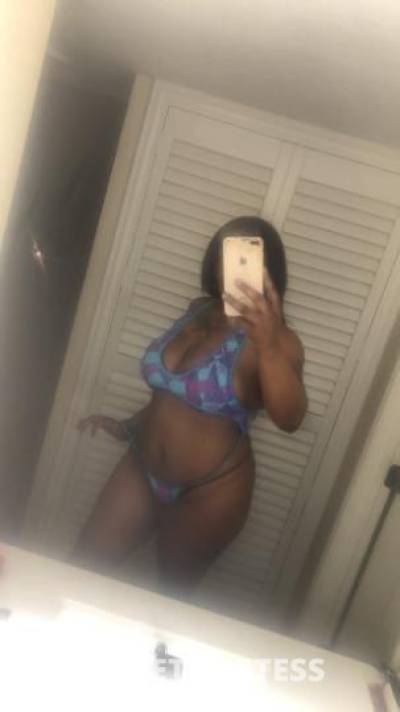 27Yrs Old Escort Los Angeles CA Image - 1