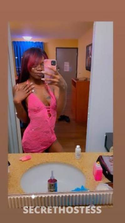 22Yrs Old Escort Monterey CA Image - 0