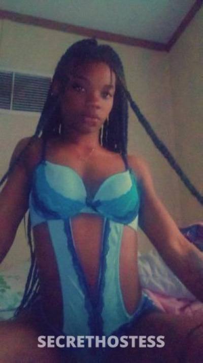 22Yrs Old Escort New Orleans LA Image - 2