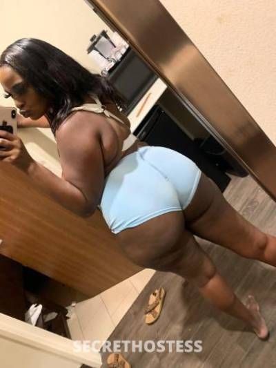 25Yrs Old Escort Dallas TX Image - 3