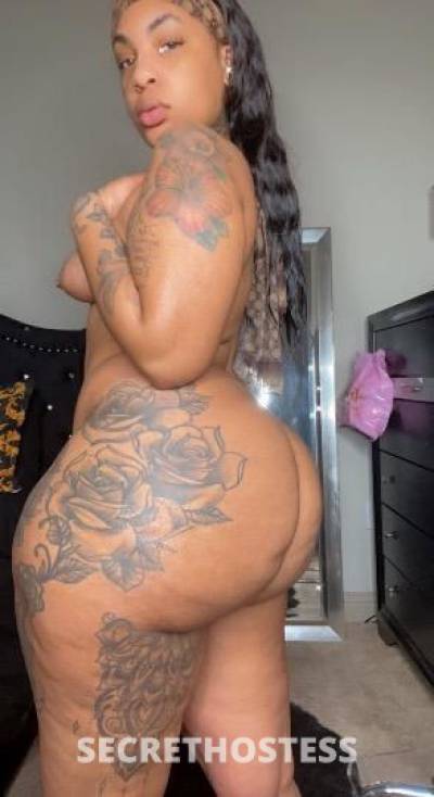 26Yrs Old Escort Bronx NY Image - 2