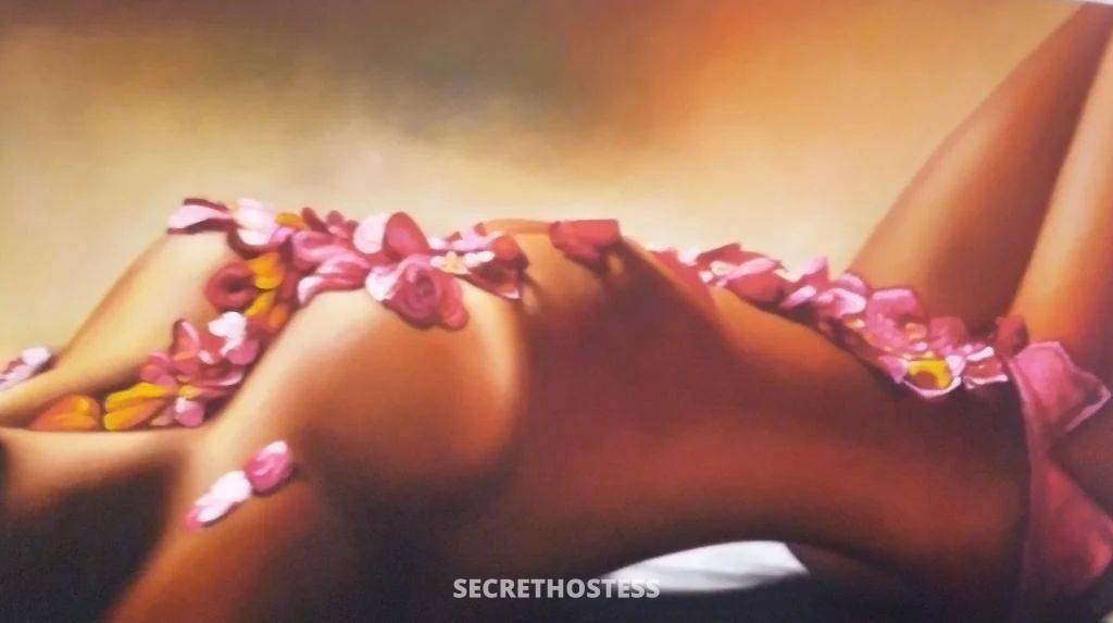 25Yrs Old Escort Size 8 Coffs Harbour Image - 0