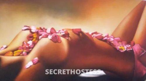 25Yrs Old Escort Size 8 Coffs Harbour Image - 4