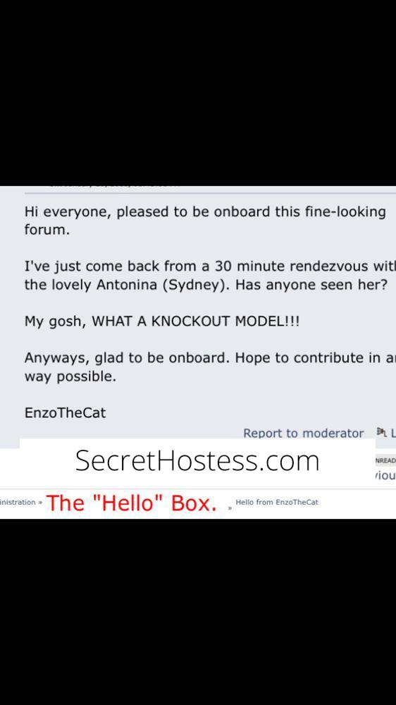 29Yrs Old Escort Size 8 Perth Image - 22