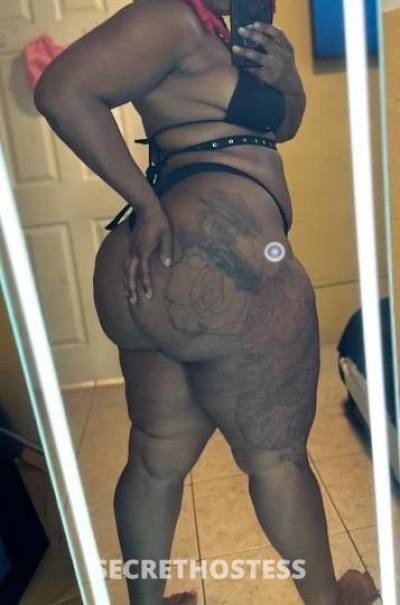 21Yrs Old Escort Fort Lauderdale FL Image - 1