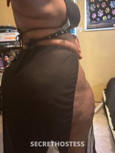 21Yrs Old Escort Fort Lauderdale FL Image - 3