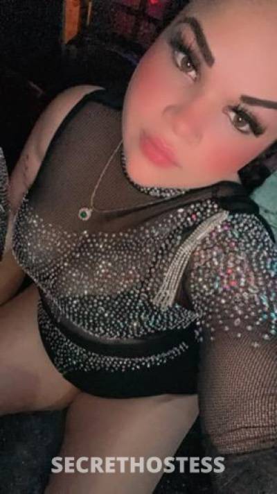 25Yrs Old Escort Chicago IL Image - 2