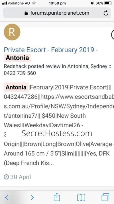 29Yrs Old Escort Size 8 Perth Image - 28