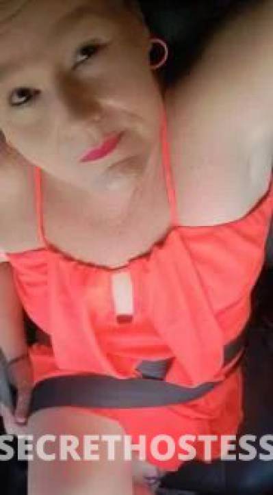 44Yrs Old Escort Size 12 Bundaberg Image - 3