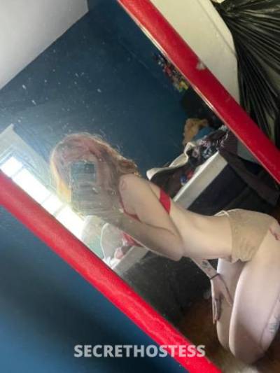 24 year old Escort in Rochester NY New Face Dont wanna miss out Im ready