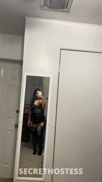 24Yrs Old Escort Houston TX Image - 3