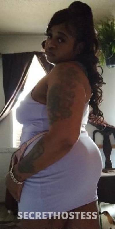 29Yrs Old Escort North Mississippi MS Image - 0