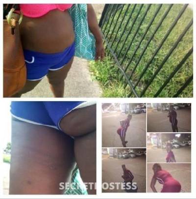 38Yrs Old Escort Tampa FL Image - 0