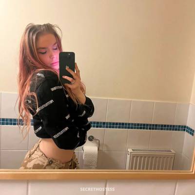 Carolina 28Yrs Old Escort Hamilton Image - 1