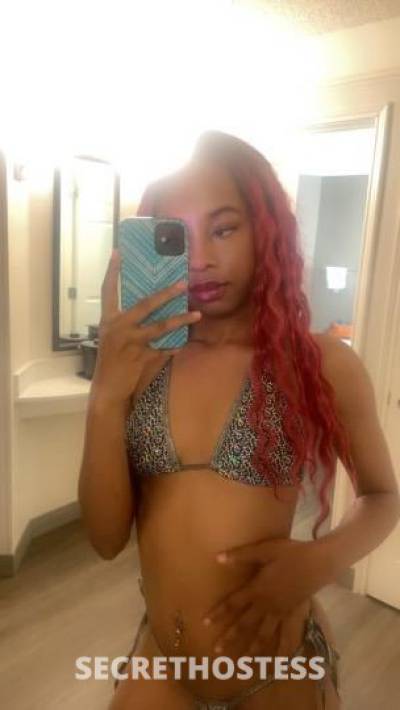 Paradise 27Yrs Old Escort Northwest Georgia GA Image - 1