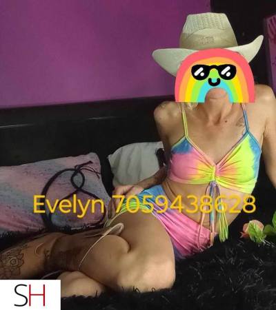 28Yrs Old Escort 167CM Tall Sault Ste Marie Image - 7