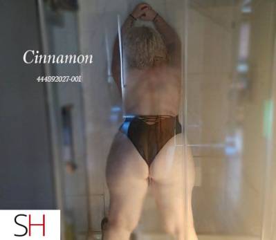 Cinnamon 23Yrs Old Escort 165CM Tall City of Edmonton Image - 5