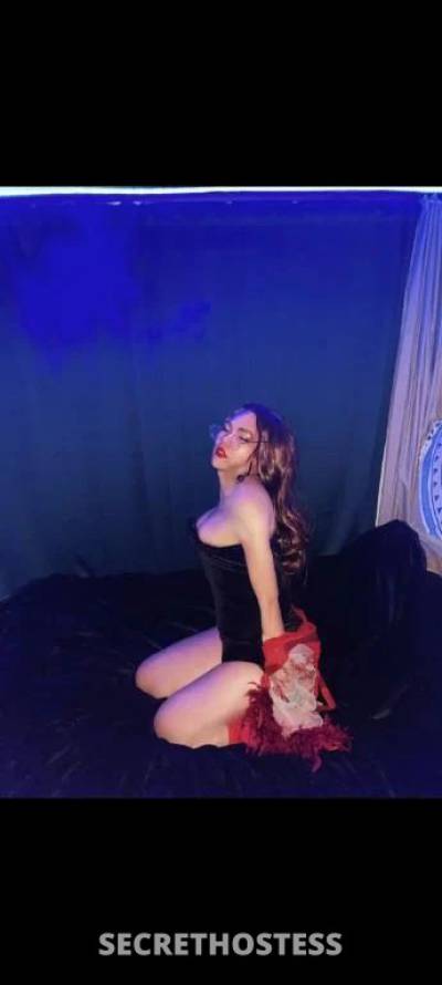 Alice 20Yrs Old Escort 176CM Tall Brisbane Image - 12