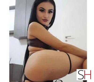 22 year old Latino Escort in Dublin ❗️❗️❗️ new in town