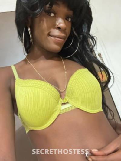 24Yrs Old Escort Brooklyn NY Image - 2